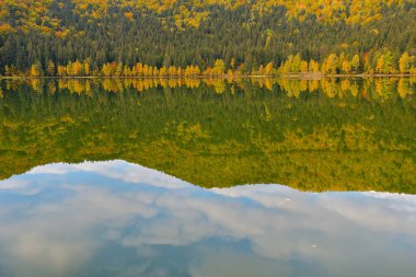 Sonbahar manzara. Saint Ana Romania, Avrupa'nın sadece volkanik göl gölde ölü bir volkanın kraterinde kurdu