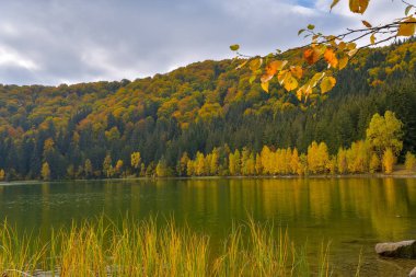 Sonbahar manzara. Saint Ana Romania, Avrupa'nın sadece volkanik göl gölde ölü bir volkanın kraterinde kurdu