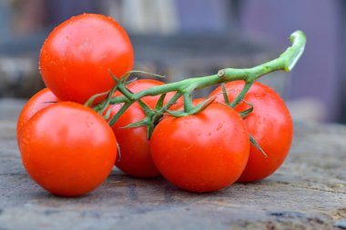Olgun lezzetli kırmızı domates. Köy pazarı organik domates. Taze domates. Nitel arka plan domates.