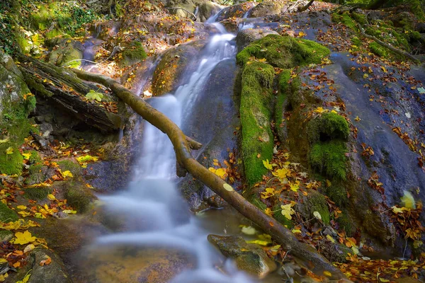 Vaioaga Waterfall Beusnita National Park Romania — Stock Photo, Image