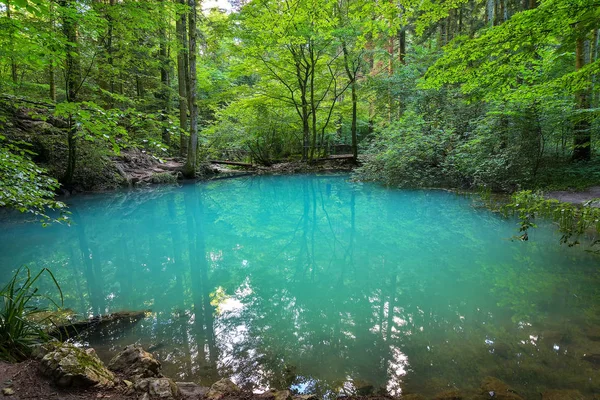 Hermoso Estanque Bosque Ochiul Beiului Condado Caras Severin Rumania — Foto de Stock