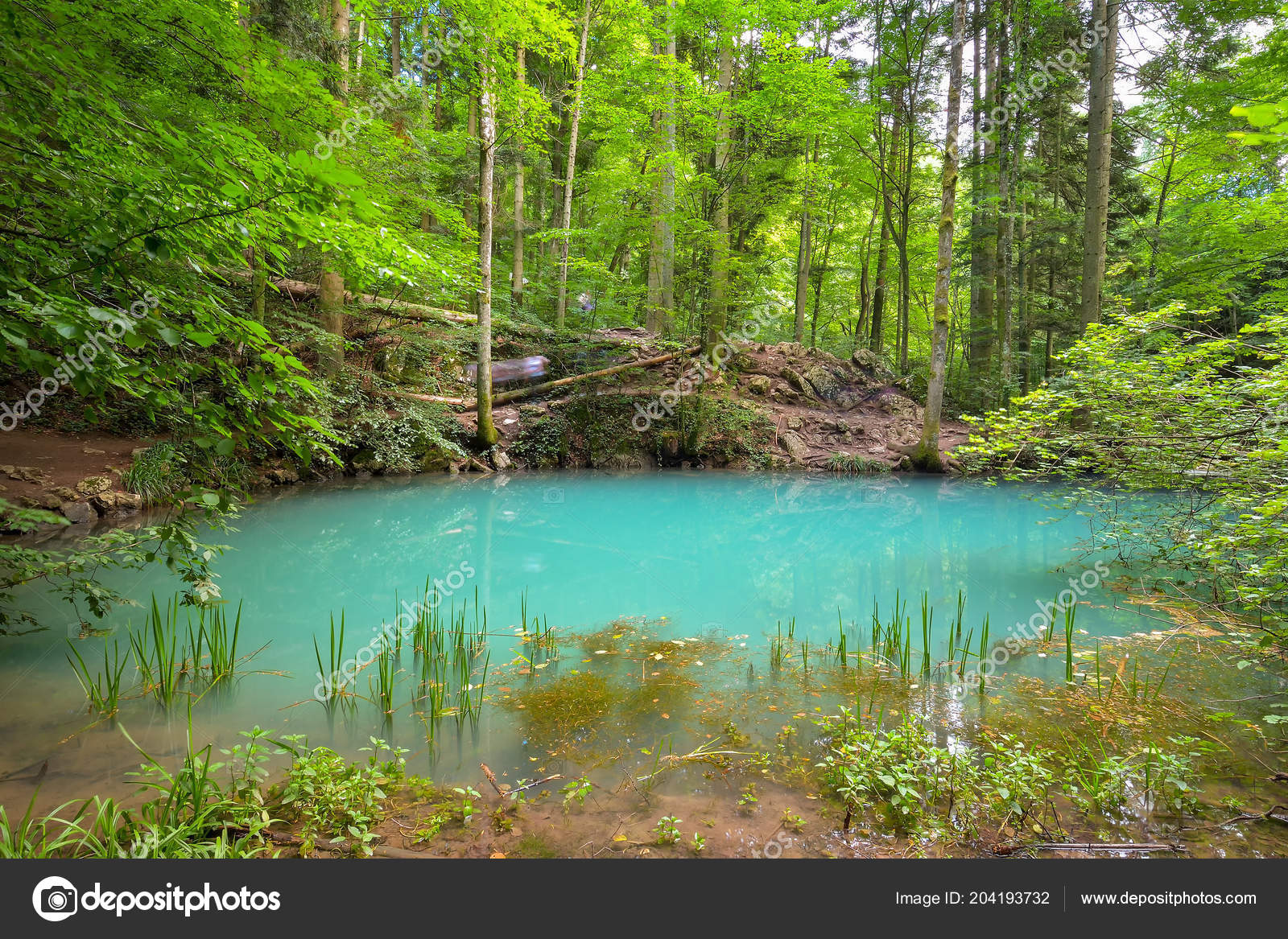 Beautiful Ponds In The Woods