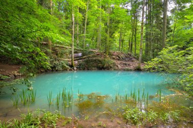 beautiful pond in the woods, Ochiul Beiului, Caras Severin county, Romania clipart