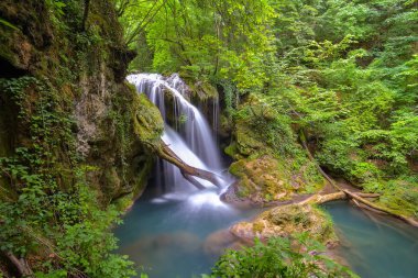 La vaioaga şelale, beusnita Milli Parkı, Romanya