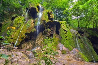 Cheile Nerei-Beusnita Ulusal Parkı 'nda Beusnita Şelalesi.