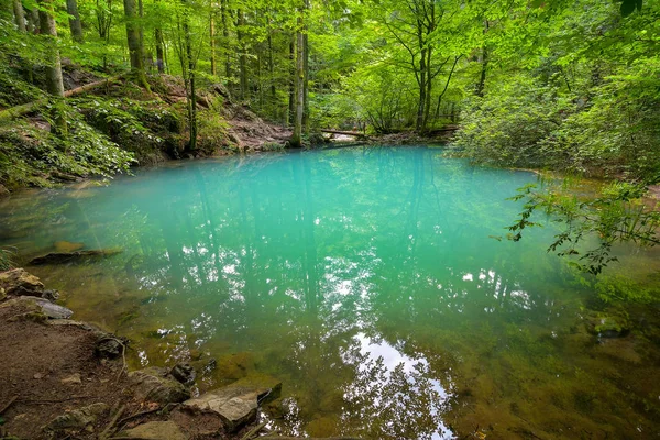 漂亮的池塘在树林中 Ochiul Beiului Caras 塞弗兰县 罗马尼亚 — 图库照片