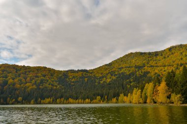 Sonbahar manzara. Saint Ana Romania, Avrupa'nın sadece volkanik göl gölde ölü bir volkanın kraterinde kurdu