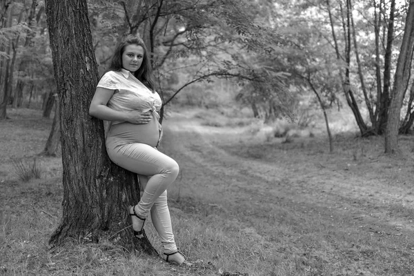 Mooie Zwangere Vrouw Buiten — Stockfoto