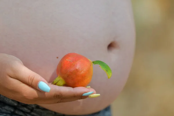 Primo Piano Della Pancia Incinta Natura — Foto Stock