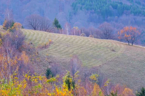 Autumn Landscape Romanian Carpathians — Stock Photo, Image