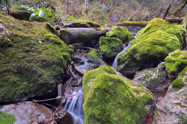 Μικρό Καταρράκτη Φθινοπωρινό Δάσος Cheile Bicazului Ρουμανία — Φωτογραφία Αρχείου
