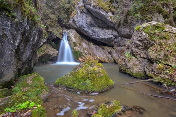 Pequena Cachoeira Floresta Outono Cheile Bicazului Roménia — Fotografia de Stock