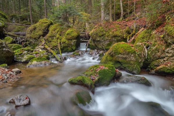 Pequena Cachoeira Floresta Outono Cheile Bicazului Roménia — Fotografia de Stock