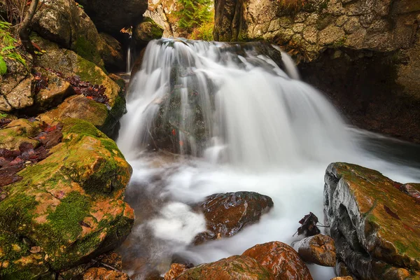 Malý Vodopád Podzimním Lese Cheile Bicazului Rumunsko — Stock fotografie