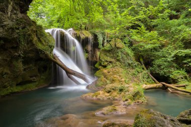 Yeşil yosun, Beusnita, Cheile Nerei Ulusal Parkı, Caras Severin, Romanya 'nın güzel La Vaioaga şelalesinin uzun süreli görüntüsü