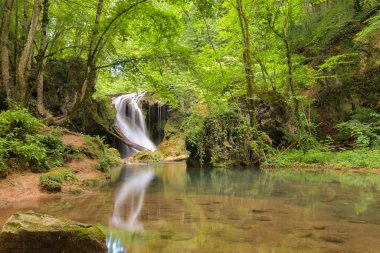 Yeşil yosun, Beusnita, Cheile Nerei Ulusal Parkı, Caras Severin, Romanya 'nın güzel La Vaioaga şelalesinin uzun süreli görüntüsü