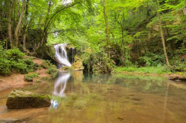 Yeşil yosun, Beusnita, Cheile Nerei Ulusal Parkı, Caras Severin, Romanya 'nın güzel La Vaioaga şelalesinin uzun süreli görüntüsü