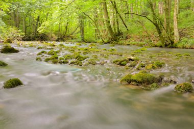 Cheile Nerei - Beusnita. Caras. Romanya. Romanya 'nın vahşi nehir ve ormanlarında yaz mevsimi. Uzun pozlama.