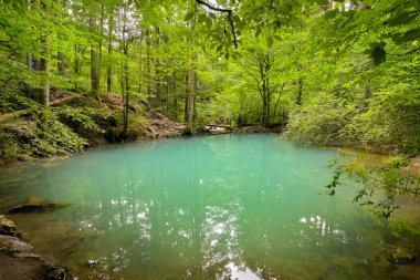 Ochiul Beiului, Romanya 'nın Beusnita Ulusal Parkı' ndaki Nera vadisinde küçük bir zümrüt göl.