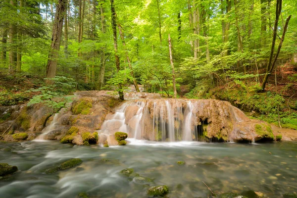 Cheile Nerei Beusnita Caras Romania Summer Wild Romanian River Forest — Stock Photo, Image