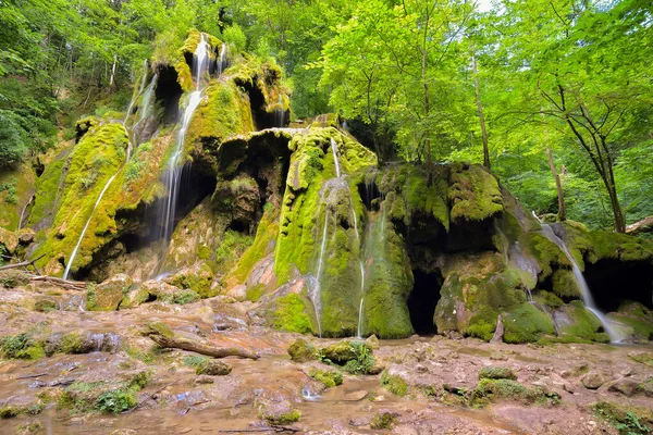 Cascada Beusnita Bosque Verano Rumania —  Fotos de Stock