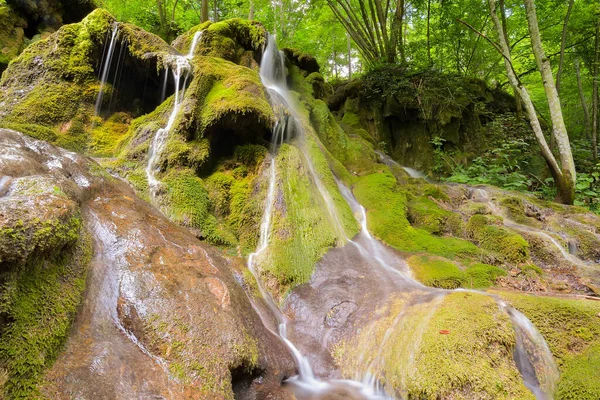 Cascada Beusnita Bosque Verano Rumania —  Fotos de Stock
