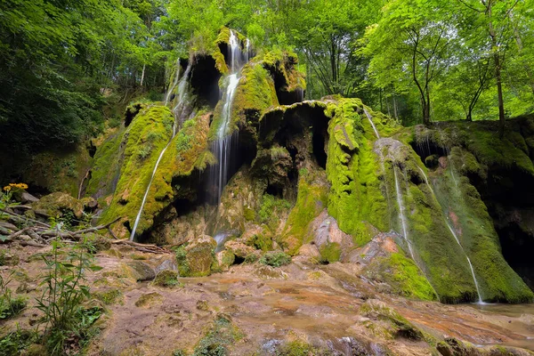 Cascada Beusnita Bosque Verano Rumania —  Fotos de Stock