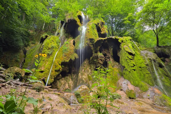 Cascada Beusnita Bosque Verano Rumania —  Fotos de Stock