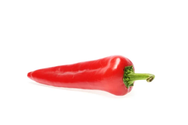 Γλυκό Κόκκινο Kapia Peppers Λευκό Φόντο — Φωτογραφία Αρχείου