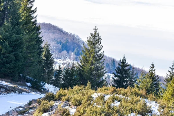 Cheile Gradistei Roamania Január — Stock Fotó