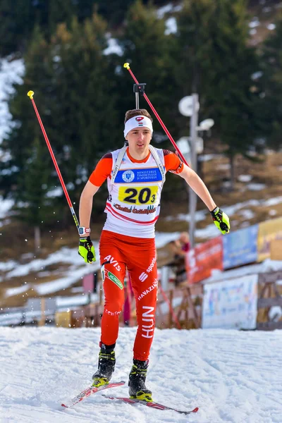 Cheile Gradistei Roamania Gennaio Sconosciuto Concorrente Campionati Mondiali Ibu Youth — Foto Stock