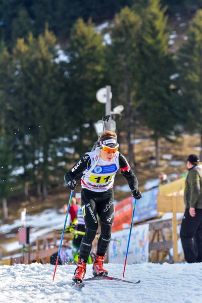 Cheile Gradistei Roamania Januari Onbekende Deelnemer Ibu Jeugd Junior Wereldkampioenschappen — Stockfoto