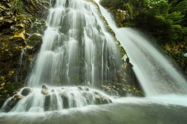Cascada Urlatoarea Busteni (Urlatoarea şelalesi) Romanya 'nın Bucegi dağlarında Sinaia yakınlarında uluyor. Karpat Dağları 'nın parkında doğa harikası.