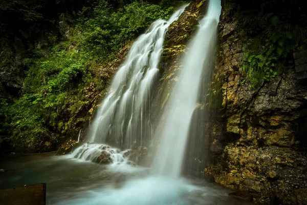 Cascada Urlatoarea Busteni (Urlatoarea şelalesi) Romanya 'nın Bucegi dağlarında Sinaia yakınlarında uluyor. Karpat Dağları 'nın parkında doğa harikası.