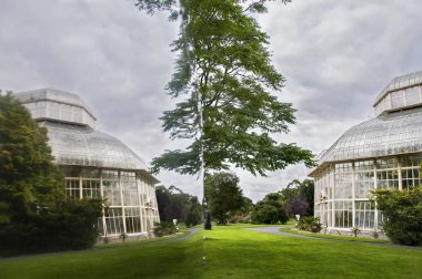 Dublin. İrlanda - 12 Eylül 2017: büyük Palm House yansıması