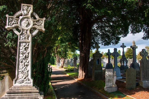 Dublin.Ireland - 13 Eylül 2017: Glasnevin Mezarlığı mezarına bir haç ile mezar taşı.
