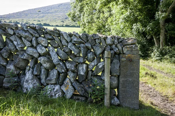County Clare Irlanda Giugno 2018 Muro Pietra Irlandese Vecchio Mucchio — Foto Stock
