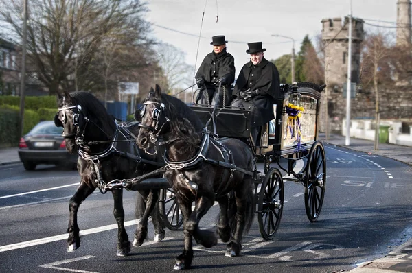 Dublin.Ireland - 05 Ocak 2018: At siyah atlar yaprakları Glasnevin Mezarlığı harnessed cenaze arabası çekilmiş.
