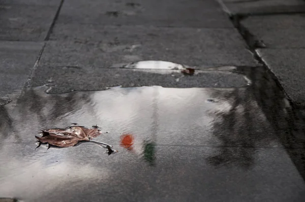 Reflexão Uma Bandeira Irlandesa Água Chuva Outono Uma Folha Bordo — Fotografia de Stock