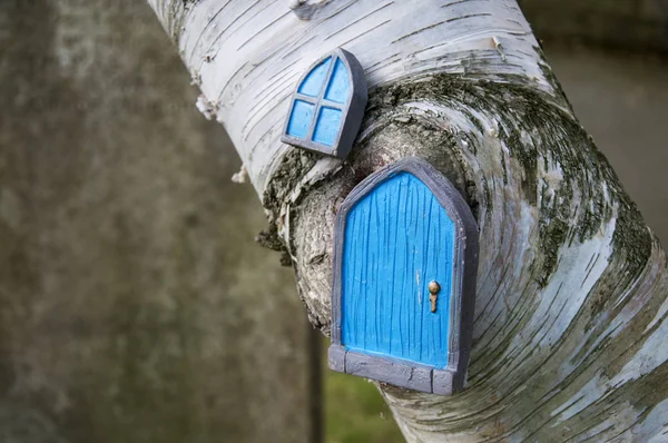 Malé Modré Dveře Okna Kufru Bříza — Stock fotografie