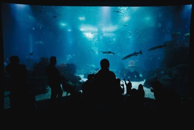 Oceanarium sualtı dünyasını. Grup insan bir Oceanarium balıkta izliyor. Lisbon Oceanarium güzelliği. Arka ışık ziyaret karanlık Silhouettes