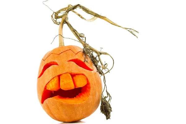 Scary Jack Lantern Halloween Pumpkin Isolated White Background — Stock Photo, Image