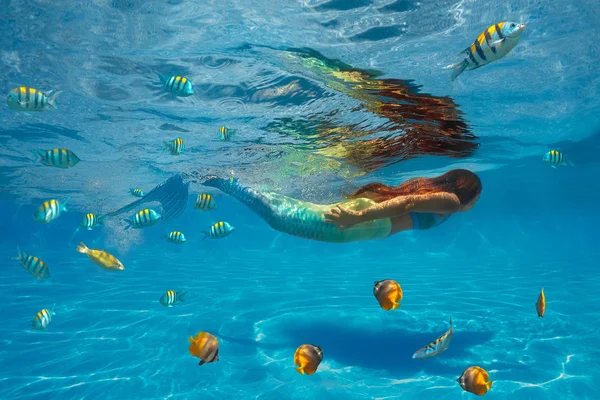 Underwater Shoot Swimming Mermaid Fishes — Stock Photo, Image