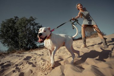 Kumsalda beyaz köpekle oynayan bir kadın.
