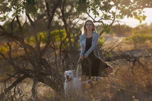 Mujer Caminando Con Perro Blanco Aire Libre — Foto de Stock