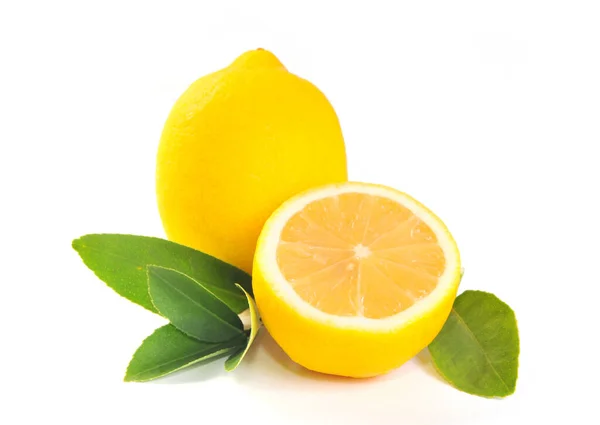 Cytryna Izolowana Białym Tle Owoce Cytryny Witamina Dojrzałe Soczyste Cytryny — Zdjęcie stockowe