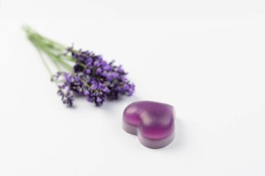 Levander sabunu ve beyaz arkaplan