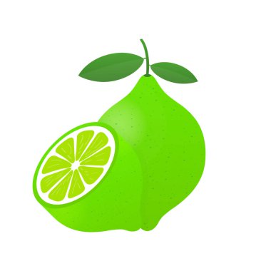 Yeşil yapraklı limon, beyaz arka planda izole edilmiş turunçgil dilimi. Vektör illüstrasyonu.