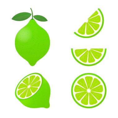 Yeşil yapraklı limon, beyaz arka planda izole edilmiş turunçgil dilimi. Vektör illüstrasyonu.