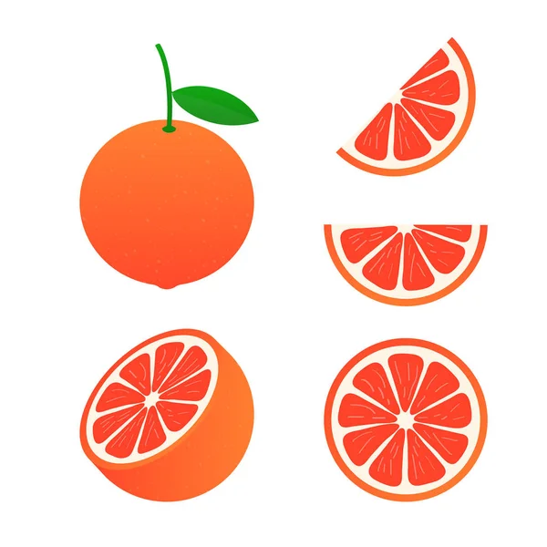 Векторні грейпфрути Цілий грейпфрут і розріз. Векторні ілюстрації . — стоковий вектор